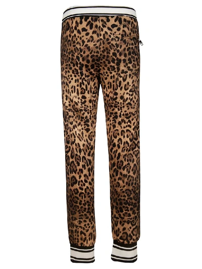 Shop Dolce & Gabbana Leopard Print Track Pants In Beige/black