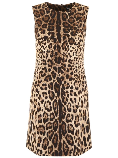 Shop Dolce & Gabbana Leopard-printed Dress In Leo New (beige)