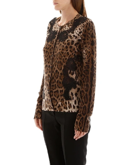 Shop Dolce & Gabbana Animalier Cardigan With Lace In Leo New (brown)