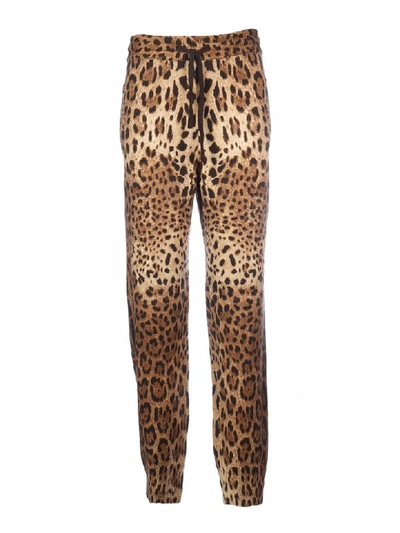 Shop Dolce & Gabbana Sport Pant With Leo Stamp In M Leo New