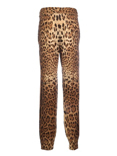 Shop Dolce & Gabbana Sport Pant With Leo Stamp In M Leo New