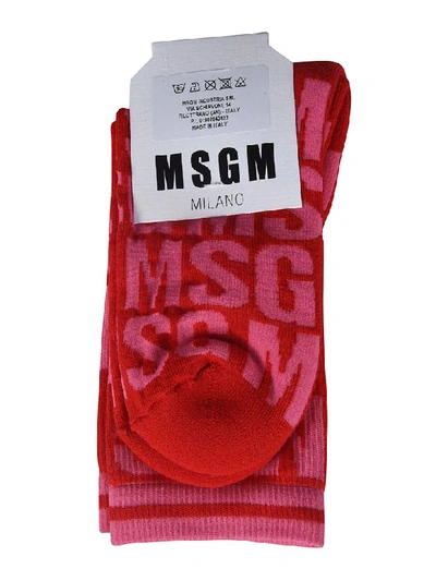 Shop Msgm Logo Socks In Red