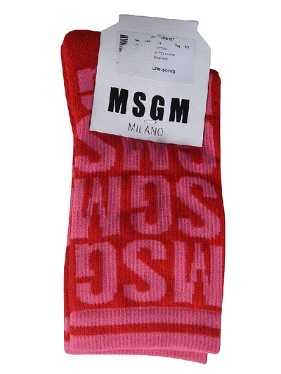 Shop Msgm Logo Socks In Red