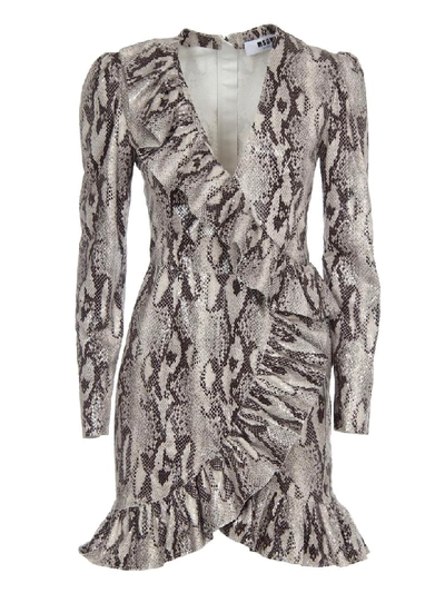 Shop Msgm Dress With Long Sleeves And Python Print In Grey