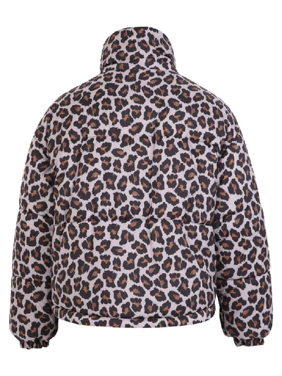 Shop Msgm Leopard Print Padded Jacket In Beige