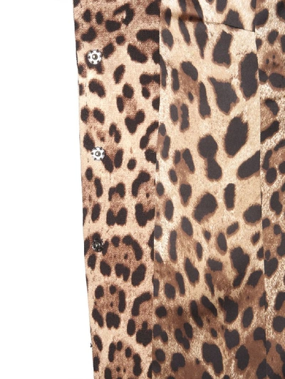 Shop Dolce & Gabbana Leo Printed Coat In Beige