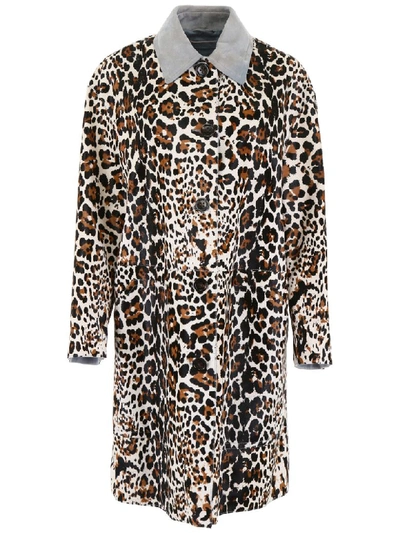 Shop Bottega Veneta Leopard-printed Coat In Animalier (brown)