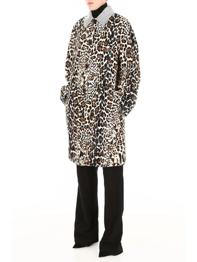 Shop Bottega Veneta Leopard-printed Coat In Animalier (brown)