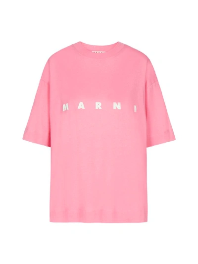 Shop Marni Logo Short Sleeve T-shirt In Pink Candy