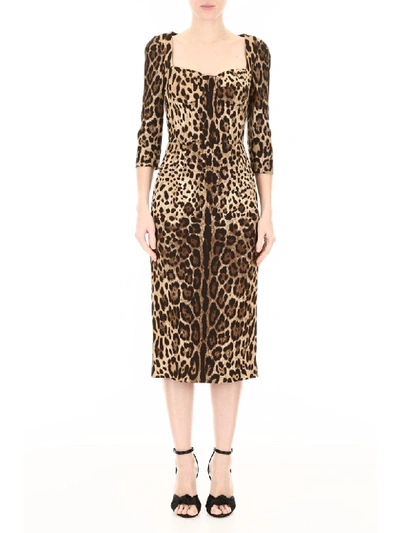 Shop Dolce & Gabbana Leopard-printed Dress In Leo New (brown)