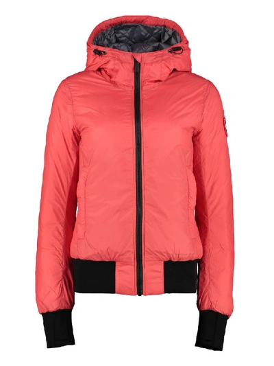 Shop Canada Goose Dore Techno Fabric Padded Jacket In Coral