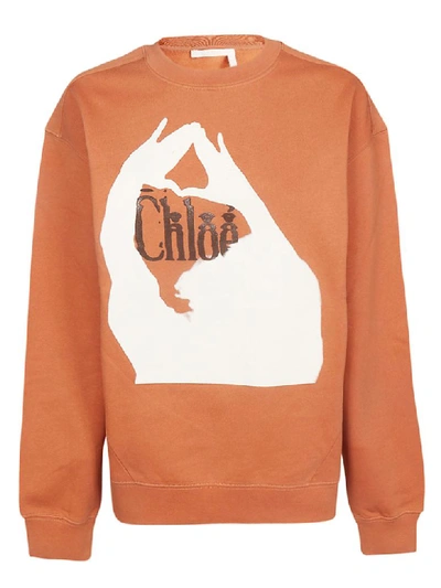 Shop Chloé Brown Sweatshirt In Sunburn Brown