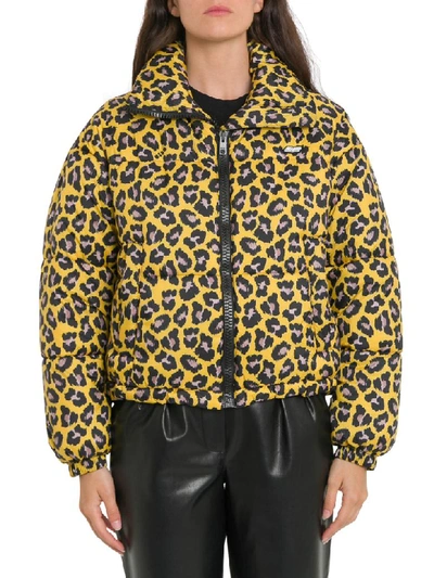 Shop Msgm Leopard Print Bomber Jacket In Giallo