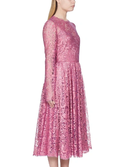 Shop Dolce & Gabbana Pois Dress In Fucsia Medio