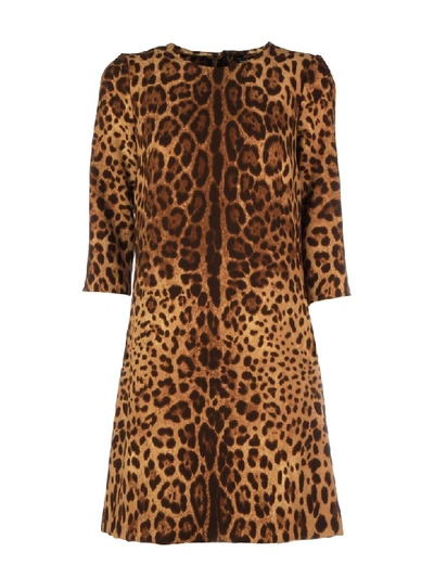 Shop Dolce & Gabbana Leopard Print Mini Shift Dress In M Leo New