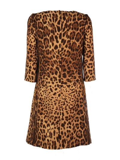 Shop Dolce & Gabbana Leopard Print Mini Shift Dress In M Leo New