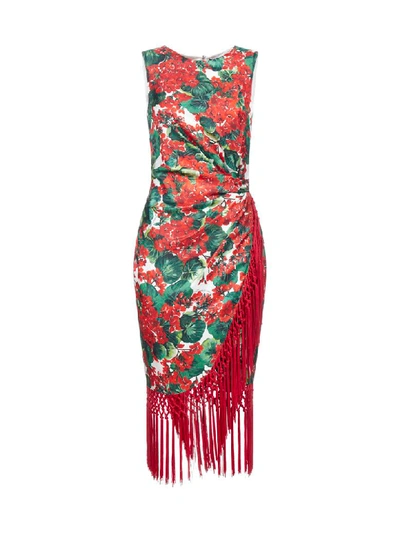 Shop Dolce & Gabbana Dress In Gerani Fdo Bco Nat