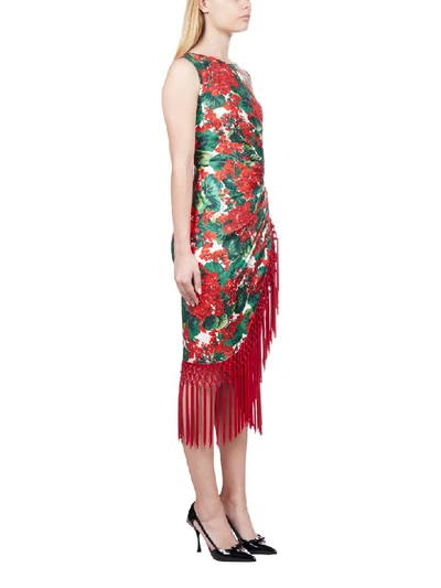 Shop Dolce & Gabbana Dress In Gerani Fdo Bco Nat