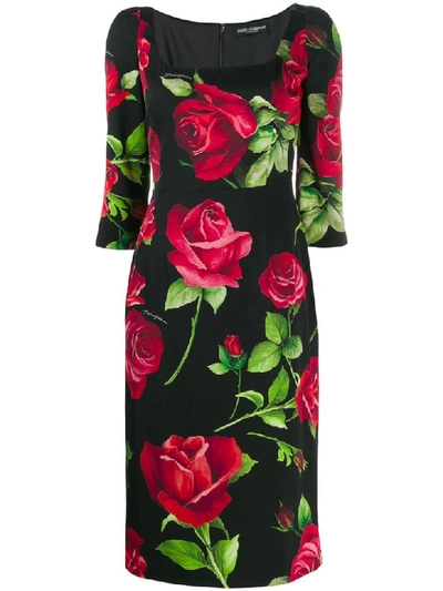 Shop Dolce & Gabbana Dress In A Rose Fdo Nero