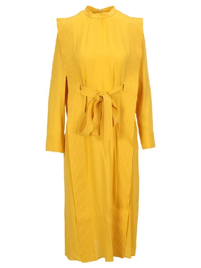 Shop Stella Mccartney Long Dress In Calendula Yellow