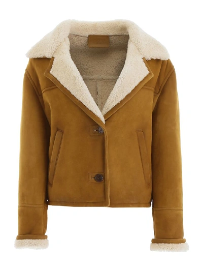 Shop Prada Shearling Jacket In Giunco (beige)