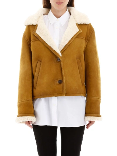 Shop Prada Shearling Jacket In Giunco (beige)