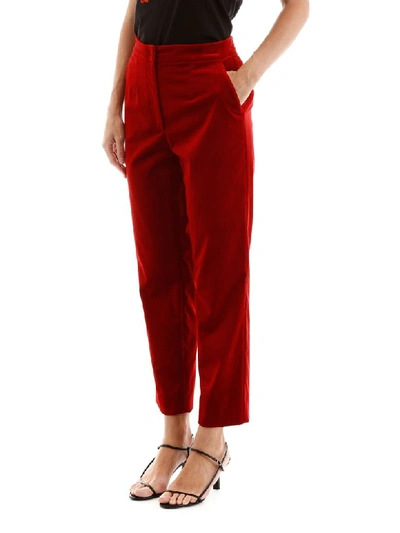 Shop Dolce & Gabbana Velvet Trousers In Rosso Sangue Scuro (red)