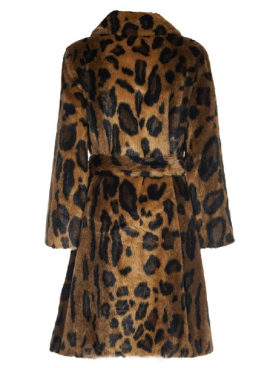 Shop Stand Studio Irina Leopard Print Coat In Maculato