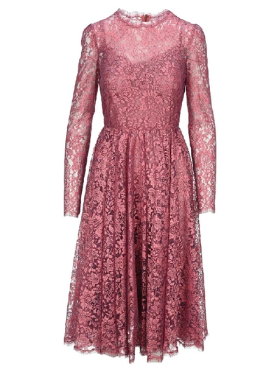 Shop Dolce & Gabbana Chantilly Lamé Lace Midi Dress In Powdery Pink