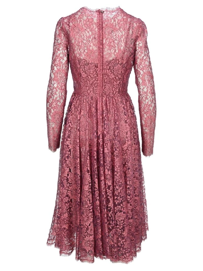 Shop Dolce & Gabbana Chantilly Lamé Lace Midi Dress In Powdery Pink