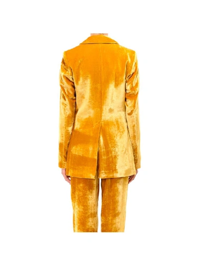 Shop Semicouture Jacket In Yellow