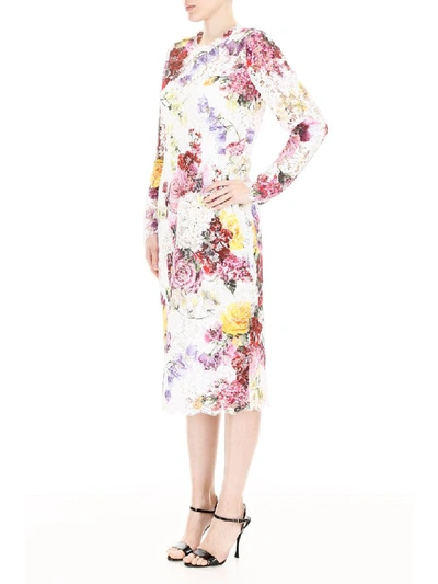 Shop Dolce & Gabbana Floral Lace Dress In Ortensie Fiori Fdo Nat (white)