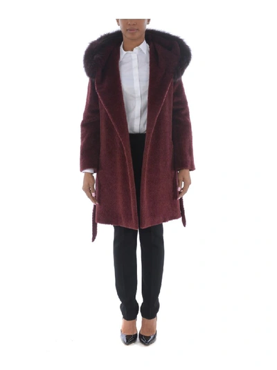 Shop Max Mara Coat In Bordeau