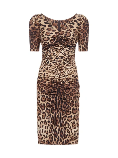 Shop Dolce & Gabbana Leopard Print Silk Stretch Pencil Dress In Leo New