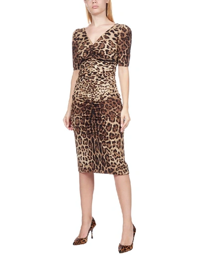 Shop Dolce & Gabbana Leopard Print Silk Stretch Pencil Dress In Leo New