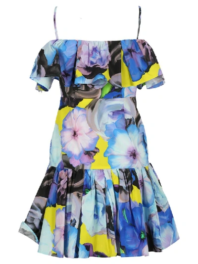 Shop Msgm Floral Print Ruffles Dress In Blue Flower Print