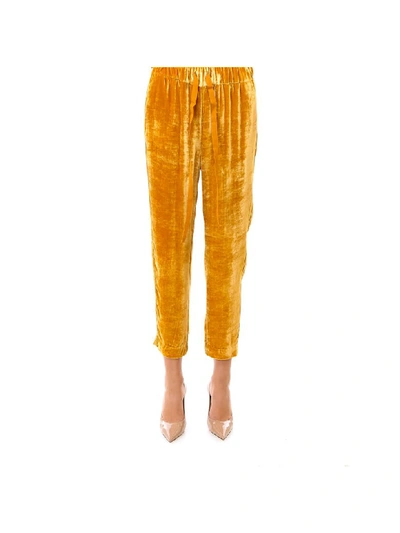 Shop Semicouture Trousers In Yellow