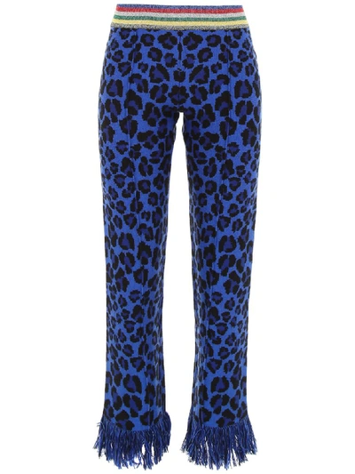Shop Alanui Animalier Knit Trousers In Animalier Blu (blue)