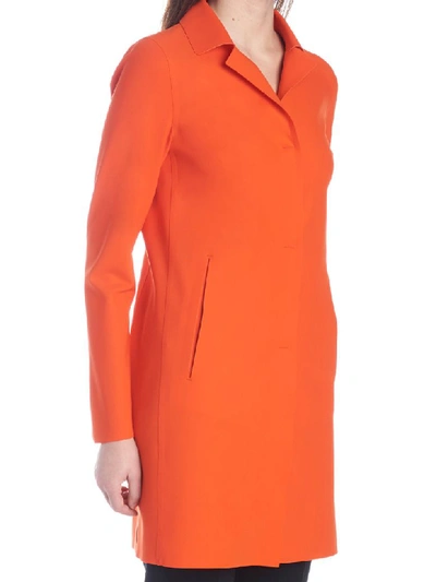 Shop Herno Coat In Orange