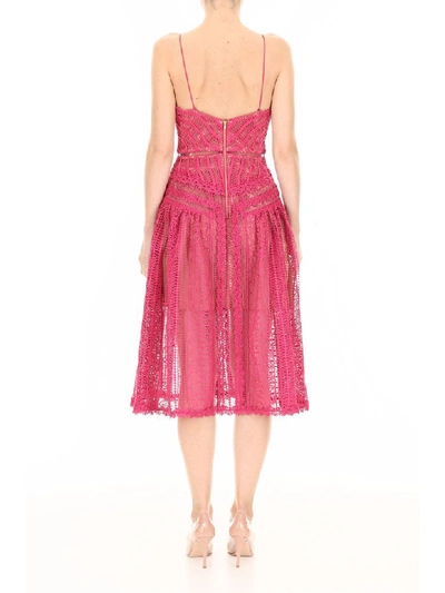 Shop Self-portrait Lace Midi Dress In Fuxia (fuchsia)