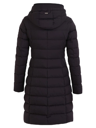 Shop Herno Zipped Padded Jacket In Black
