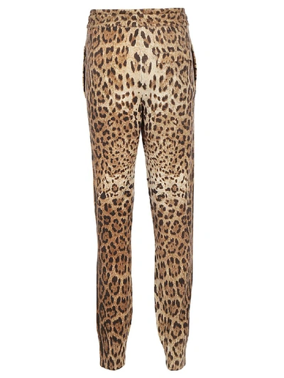Shop Dolce & Gabbana Pants In Leo New