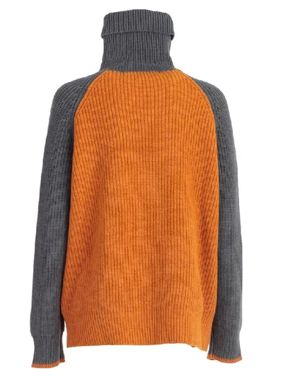 Shop Victoria Victoria Beckham Sweater L/s Over Turtle Neck In Charcoal Golden Poppy Mahogany