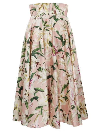 Shop Dolce & Gabbana Skirt In Pink