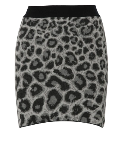 Shop Alberta Ferretti Skirt In Leopard