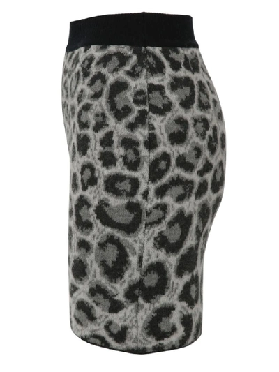 Shop Alberta Ferretti Skirt In Leopard