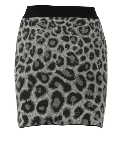 Shop Alberta Ferretti Skirt In Leopard