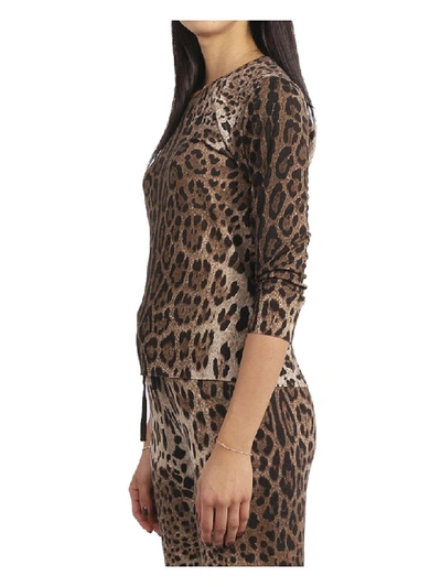 Shop Dolce & Gabbana Leo Sweater In Animalier