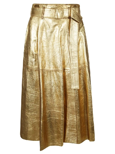 Shop Golden Goose Akemi Skirt In Gold