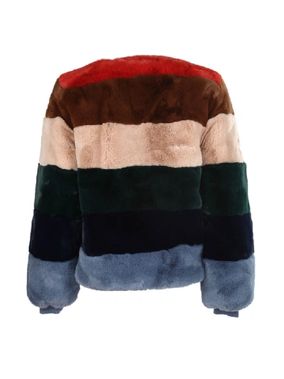 Shop Apparis Short Jacket In Multicolor